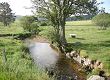 Le ruisseau de Lamandie