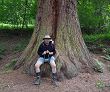 Arbre remarquable